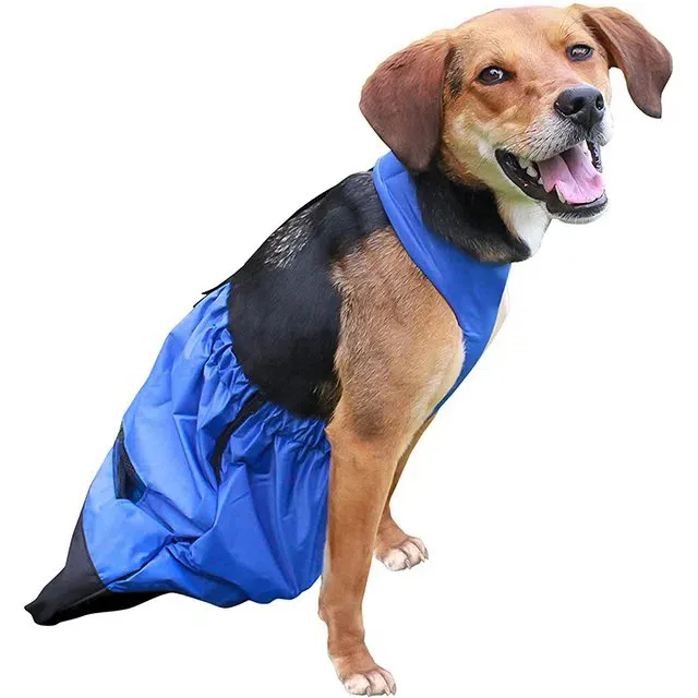 Qushlarning kuchukcha bezi sumkasi