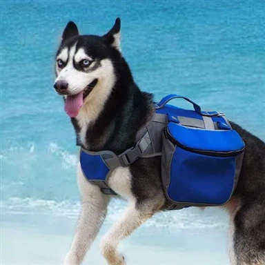 Mushukchalar uchun itlar uchun sumkalar